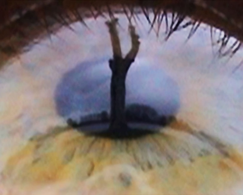 Melanie Wiora - Eyescapes – By the Water