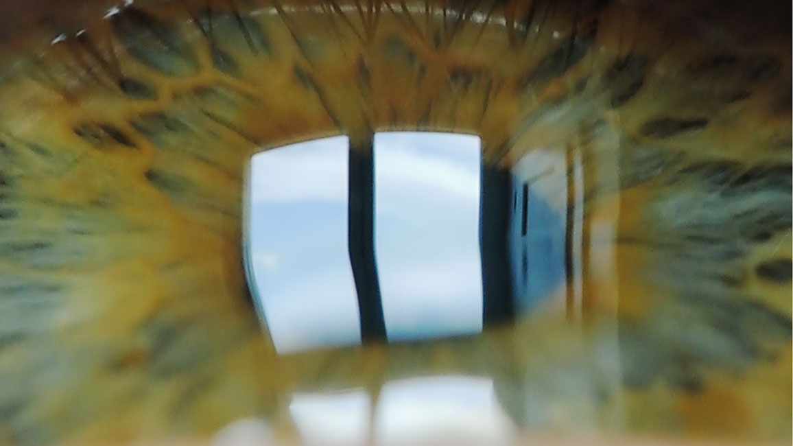 Melanie Wiora - Eyescapes - Liquid Windows